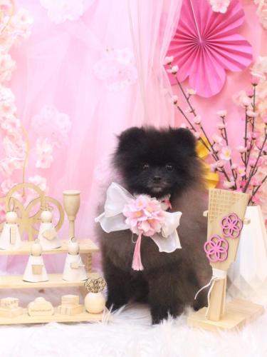 20250316まるくん